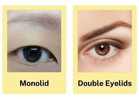 monolid ogen|Monolids vs. Double Eyelids: The Comprehensive Guide